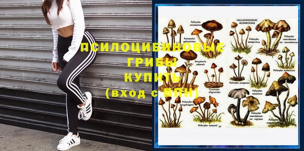 гашик Богородицк