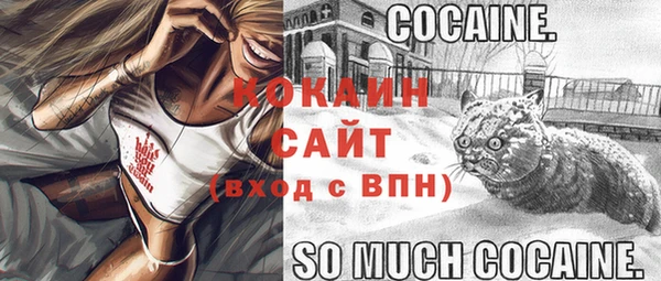 гашик Богородицк