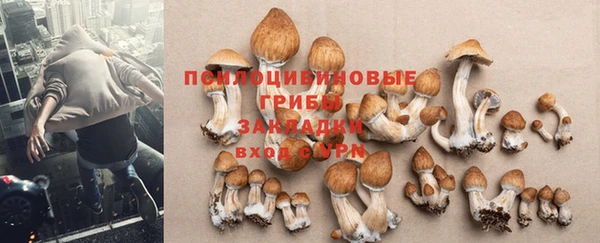 кокаин премиум Бородино