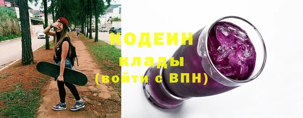 индика Михайловск